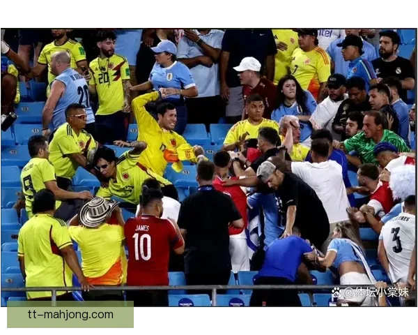 乌拉圭球员美洲杯看台冲突引发球迷强烈反应
